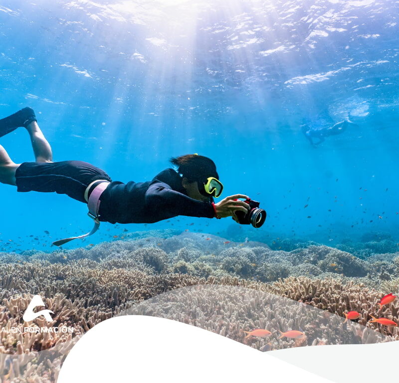 curso-fauna-marina-espana