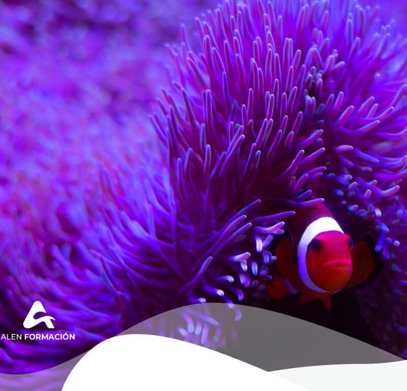 investigacion-marina-oceano-cambio-climatico