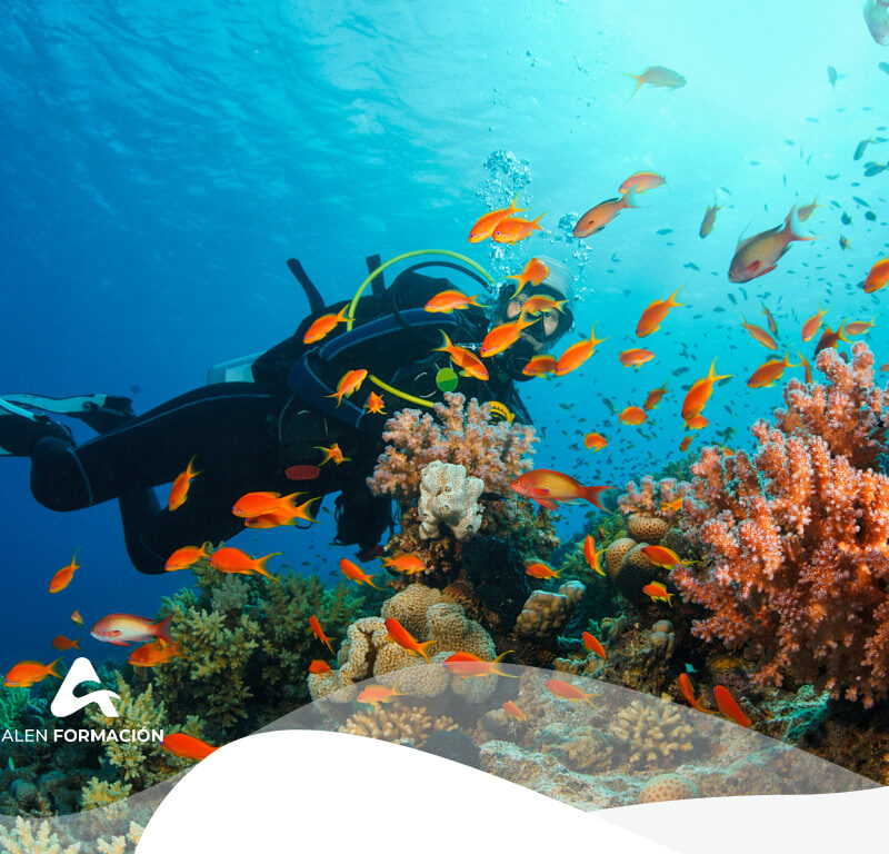 avistamientos-responsables-madrid