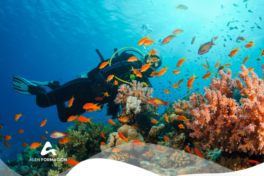 avistamientos-responsables-madrid