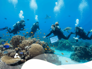 curso ecologia marina
