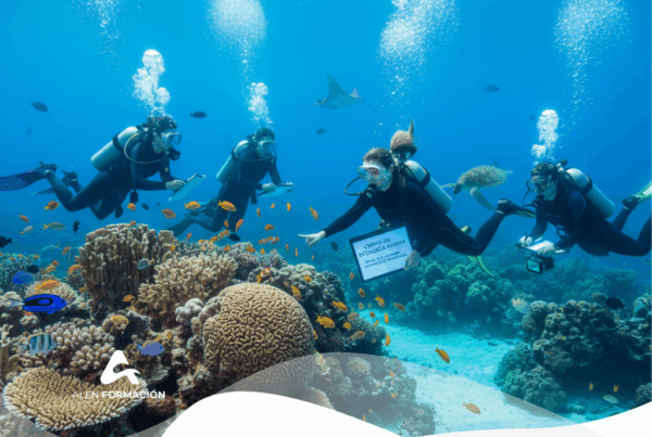 curso ecologia marina