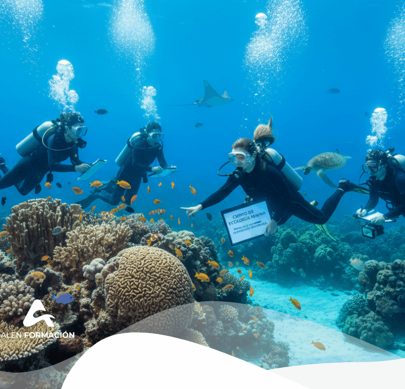 curso ecologia marina