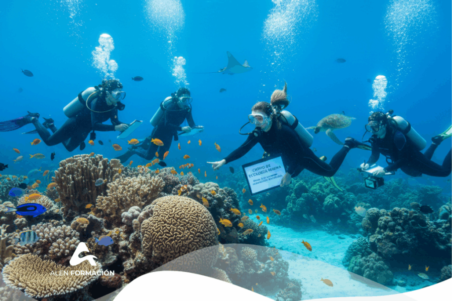 curso ecologia marina