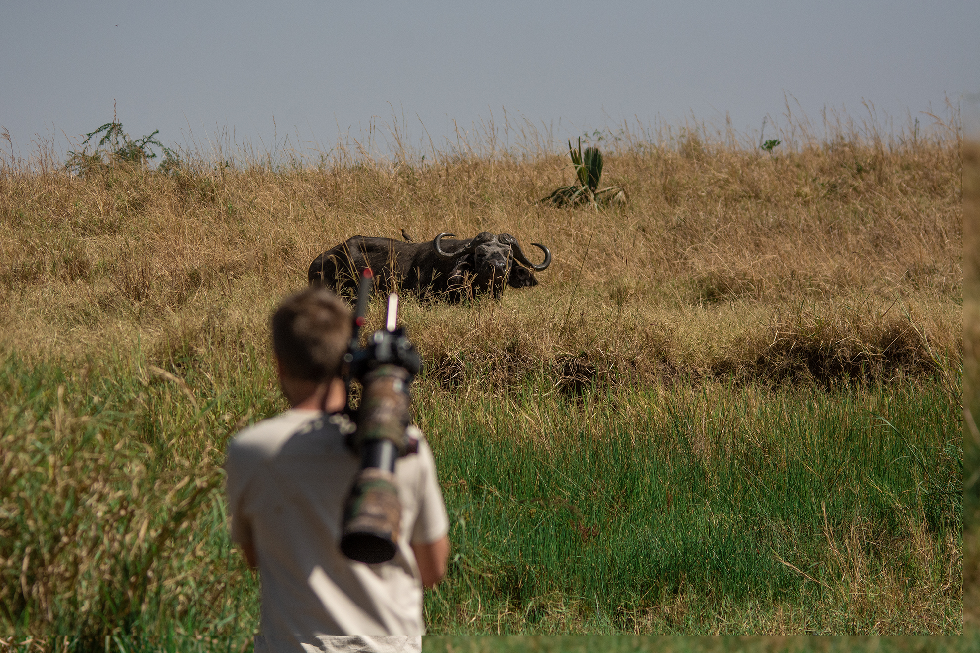 CURSO PROFESIONAL DE DOCUMENTALES DE NATURALEZA