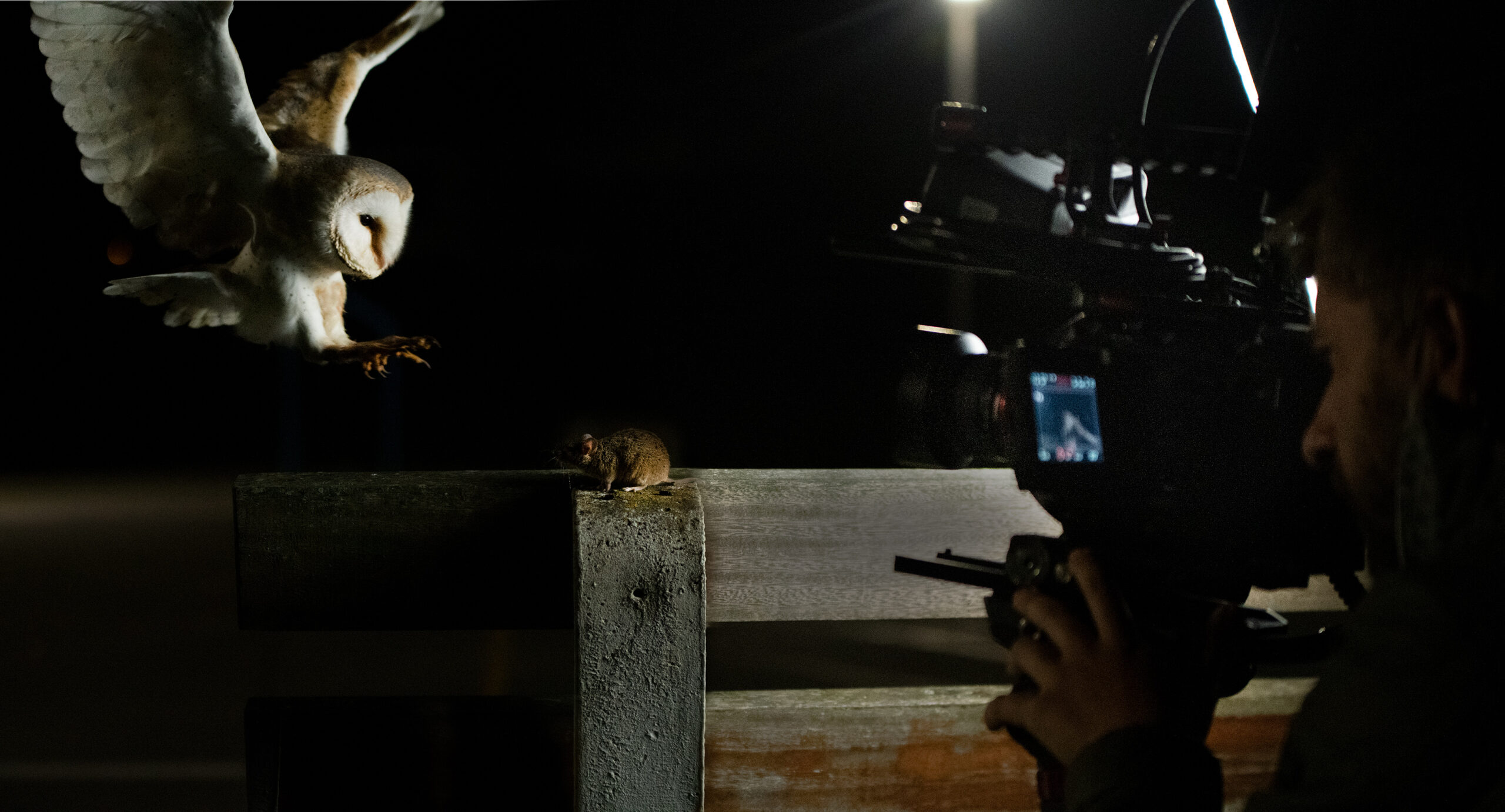 CURSO PROFESIONAL DE DOCUMENTALES DE NATURALEZA