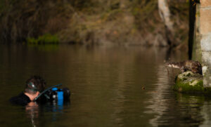 CURSO PROFESIONAL DE DOCUMENTALES DE NATURALEZA