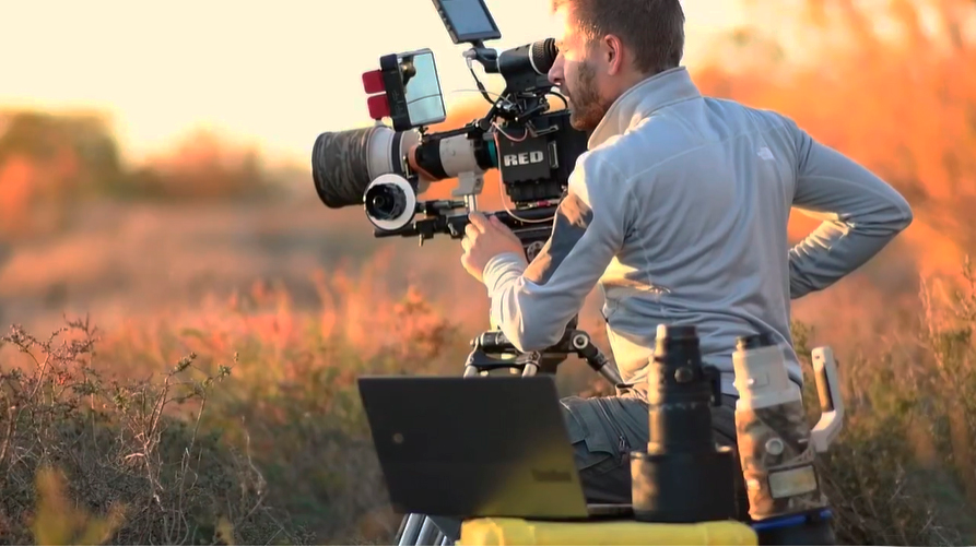 CURSO PROFESIONAL DE DOCUMENTALES DE NATURALEZA
