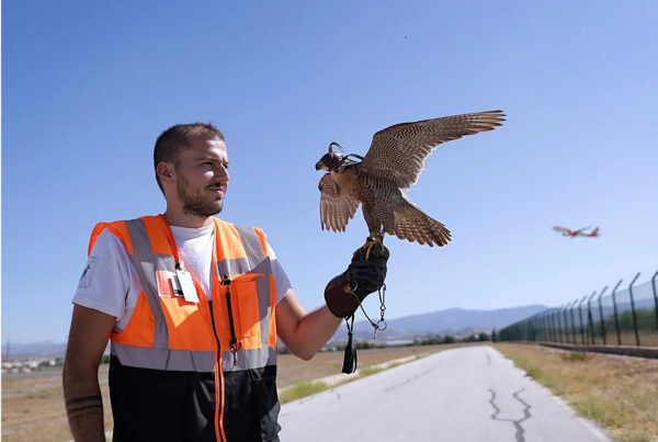 TÉCNICO EN CONTROL DE FAUNA