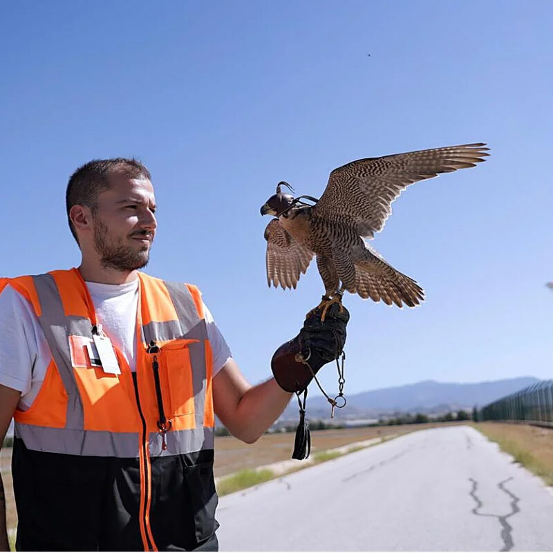 TÉCNICO EN CONTROL DE FAUNA